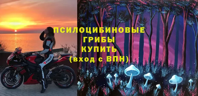 Галлюциногенные грибы MAGIC MUSHROOMS  MEGA ТОР  Кудымкар 